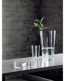 Florero Transparente Aalto 251 mm |Aalto Clear Vase 251 mm
